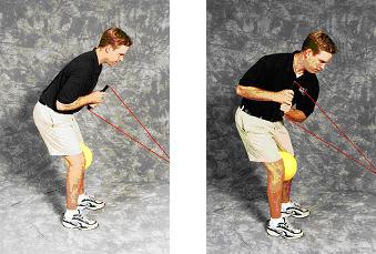 Trunk Rotation Stable Pelvis