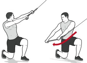 Half-Kneeling Chops with Rotation