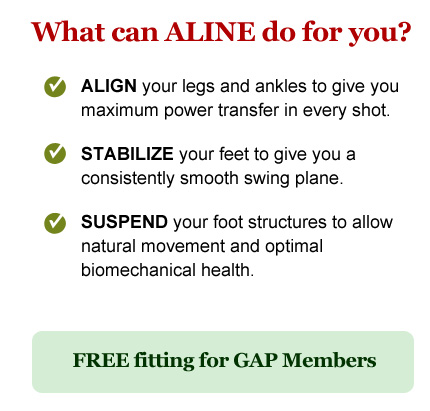 What can ALINE do for you?